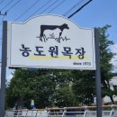 그린목장 | 용인 농도원 목장체험 예약 취소 방문후기
