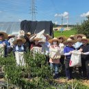 사학연금 이미지