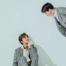 드림라이크