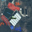 새미 낚시터 | 겨울철 자리 걱정 없는 대형 하우스 새미 낚시터 출조 후기