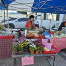 신기새마을영농조합법인 이미지