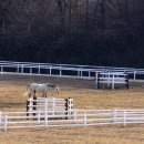 신하목장 이미지