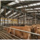 안성토지공인중개사사무소 이미지