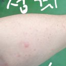 몸사랑피부연구소