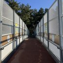 서동역 주변 육교밑 | 동해시 현지인들밖에 모르는 해돋이명소 감추사해변 주차장 정보 및 일출 일몰 시간정보