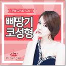 삐땅기의원 이미지