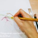 힐링보태니컬아트 이미지