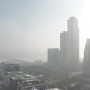 미세먼지 - 심혈관부터 두뇌까지... 이미지