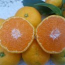 민우농장 이미지