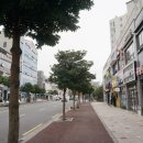 강정동-34 이미지