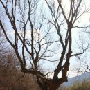 보성파워텍(주) 제2공장 | 대한민국 경상북도 문경시 당일치기 여행 [260402]