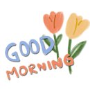 마스크쇼핑 이미지