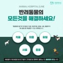 한동물병원(출장진료동물병원) 이미지