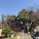 청풍호로 | 제천 청풍호 벚꽃축제 후기🤍 드라이브부터 라멘까지(금성제면소)