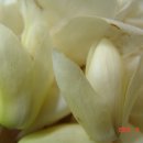 목련약국 이미지