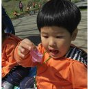 내북초교 병설유치원 이미지