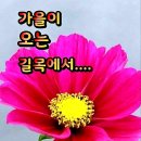 화요일 이미지