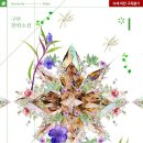 풀블룸 이미지