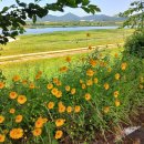 금성초등학교(병설) 이미지