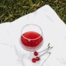 와인메타 티스토리