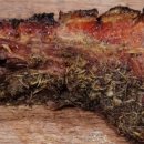 ROSA펜션 이미지