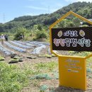 꿀벌식당 이미지