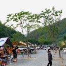 숲이조아캠핑장 이미지