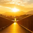 인물 찾아 떠나는 역사여행 이미지