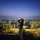 힐탑약국 이미지