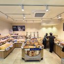 (주)엠에스디앤티 이미지