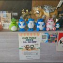 소싯적돼지