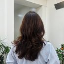 하루헤어샵 | 대구 수성구 만촌동 1인샵 헤어샵 코하루 CS컬 펌 후기
