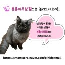 여우상점