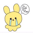 해아스튜디오