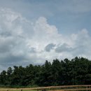 하은목장 이미지