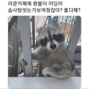 일진농수산 | 더 퍼스트 슬램덩크(2023) 후기