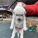 삼정민박 이미지