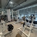 트레이닝데이 피트니스 이미지