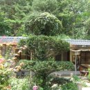 한방토종백숙 이미지