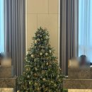 (주)반포골프백화점, 더컨벤션 반포 | 반포더컨벤션 웨딩홀 본식 후기 (25년 하반기)