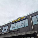 나만 | 귀여운 고양이들과 힐링타임 남양주 별내 나만없어 고양이 카페 내돈내산 후기