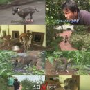 춘봉농장 이미지