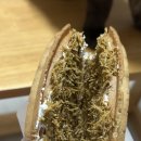 와플칸두정점