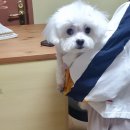 늘 예쁘개 이미지