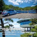 태종대 전망대 | 부산 영도 아이와 가볼만한 곳! 태종대 다누비열차 코스 &amp; 전망대 후기