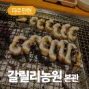 갈릴리농원 청미안 네이버블로그
