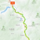 비슬산둘레길 8구간 이미지