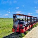 초원한식 이미지