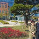 중앙관세분석소 이미지