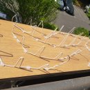 비둘기세탁소 이미지